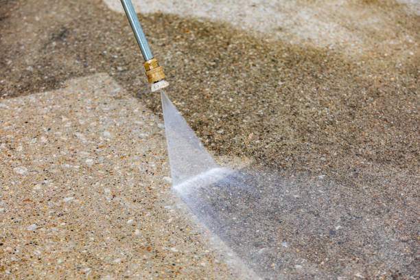 Best Animal Enclosure Cleaning  in Hamlin, TX