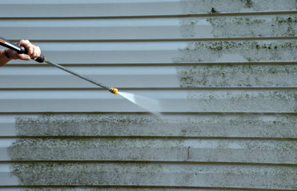 Best Sidewalk and Walkway Cleaning  in Hamlin, TX